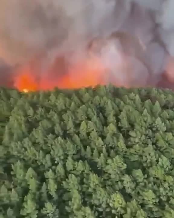 �� ��������� ������� �������� ����� ����