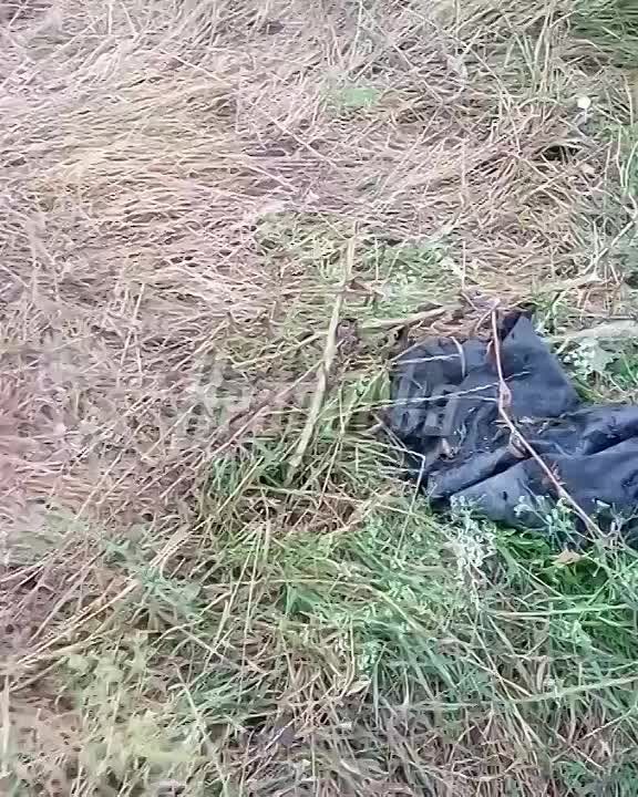 ���������� ��������� ��������� ������ �������� ��� � ����������� �� ����� �� �������� ������������ ������