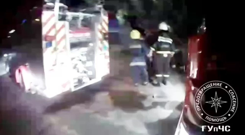 �� �������� ���� ����� ������