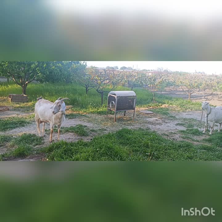 ����� ���������� �� ���� � 6 "���������" ����� ��������� ������� ������� � �������� ����������������