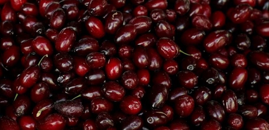 ������ ����� �������� �� ������� �����