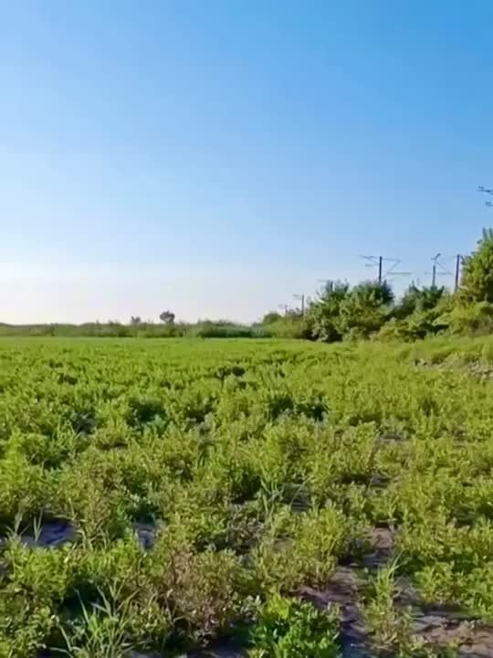 ����� � ������� ���������� �������������.