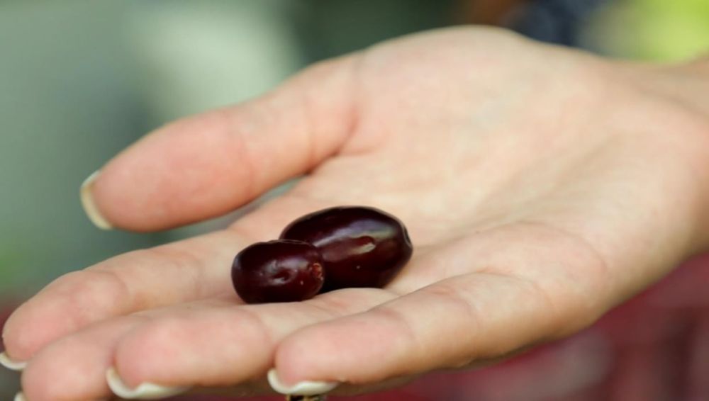 ��������, ��� ��������, � ��� ������ �����