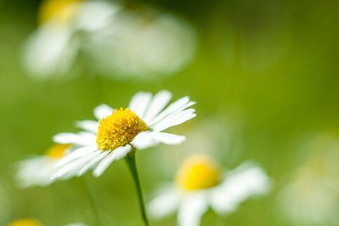 9 �������� � �������������� ����� ��������� ��������� ������������ ������� ������� ����� ������� ��������������, �������� ��������� ����������������