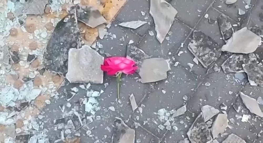 ����� ����������� ������� ������ ������������ � ������ ���������