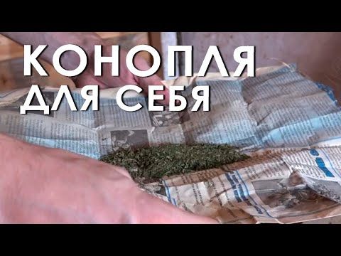 ���������� ����������� ���������� ������� � ���� ������� ���������� � ������ ����� ����� ������ ����������� ���������. ��������� ������� ������ � �������� � ���������� ��������� �� ������