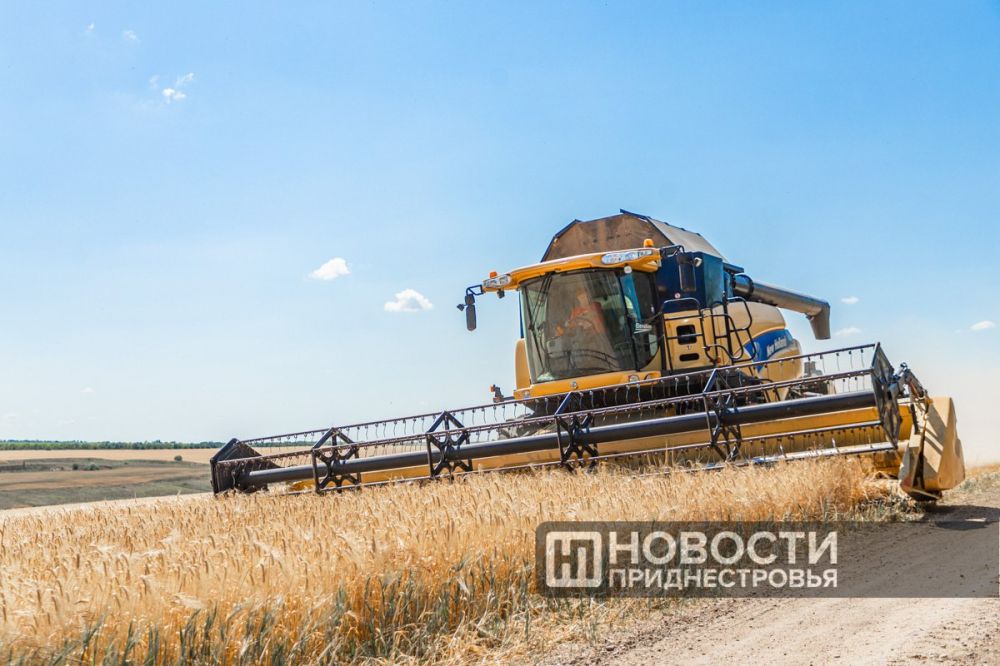 ����� ���: � ������������� ���������� 338 ����� ���� ������ �������