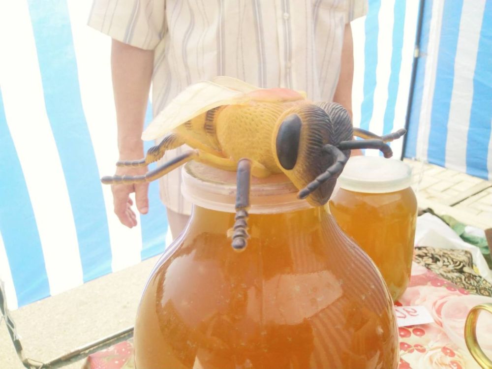 ����� ��� � ��������� ������������ ������� �������� � ������