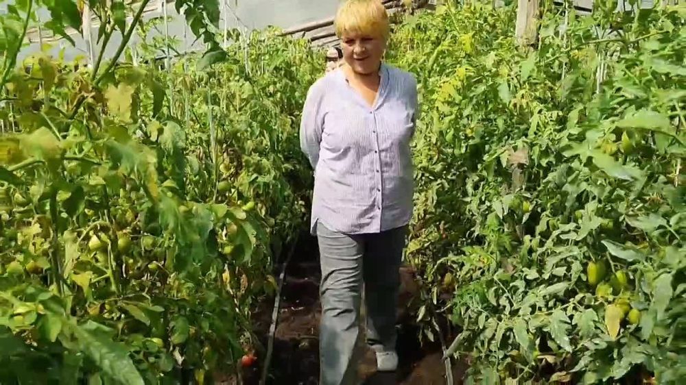 ��������� ��������� ��������� � ���� �������