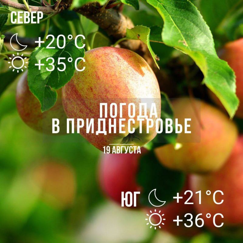 ����� � �������� ���� ���� ����� � ��������� � ����� ����� ������