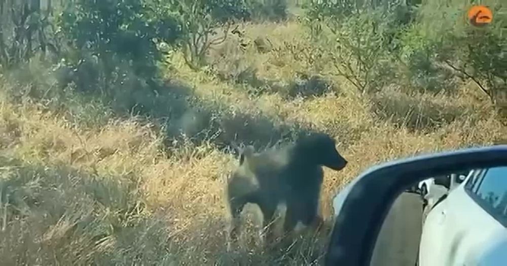 ������� �������� �� �������� � ��� ���� �� �������