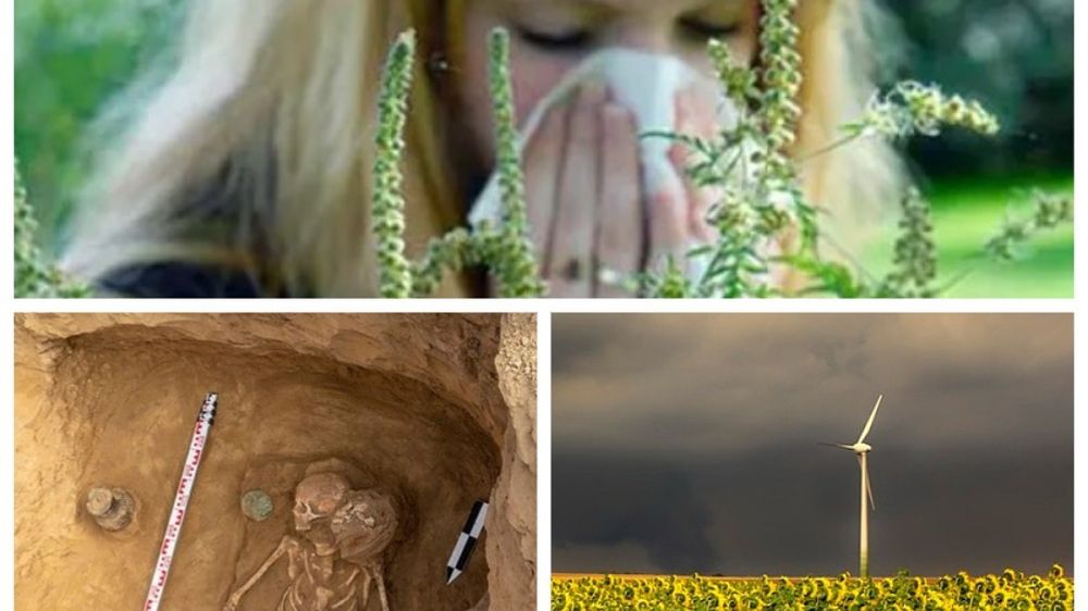 ������� ������� � ������� 20 ������� 2023: � ������� ���������������� ������ ������� � ����� ��-�� �������� �� ��������; � ������������� � �������� �������� ����� ������� ������ �� �������� ��������; ��������� ������� � ������� ����� � ����, � ������