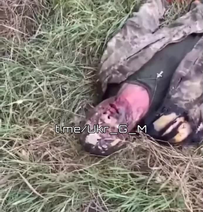 �� ������ �� ����� � ��������, �� ��� �����.