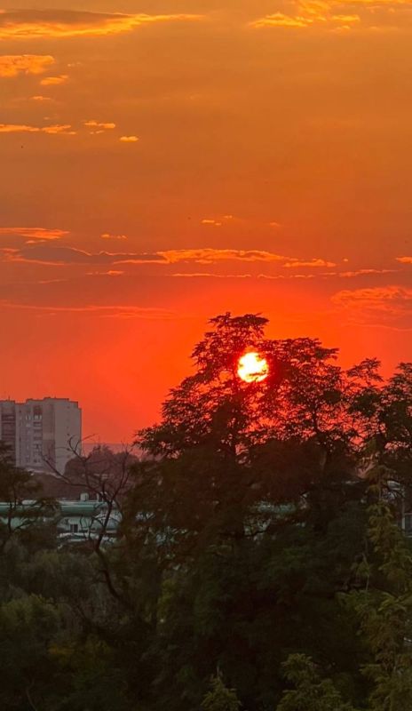 ����������� ����