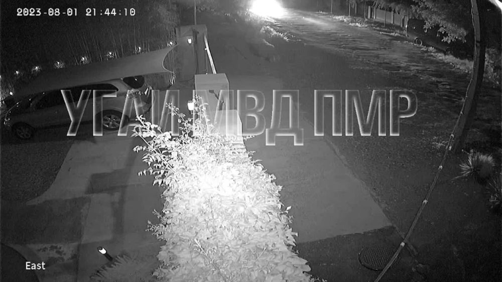 ��������: ������!. ������� ���������� ��������� �����������, ������������ �� ������������ �������� ��������, ������� ���� ���������