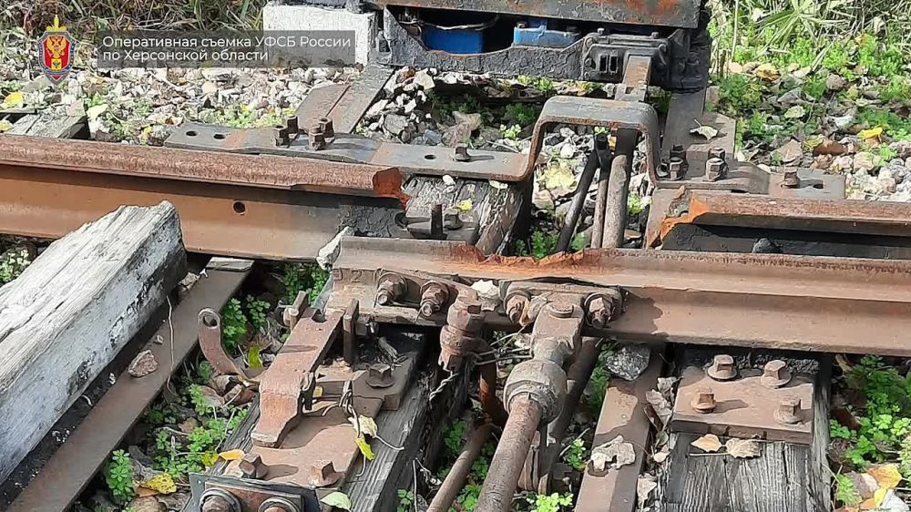 ������������ ��� �������� ���� �� ������������� �������� �������� ������ �� ����������� �������� �� �/� ������� ������