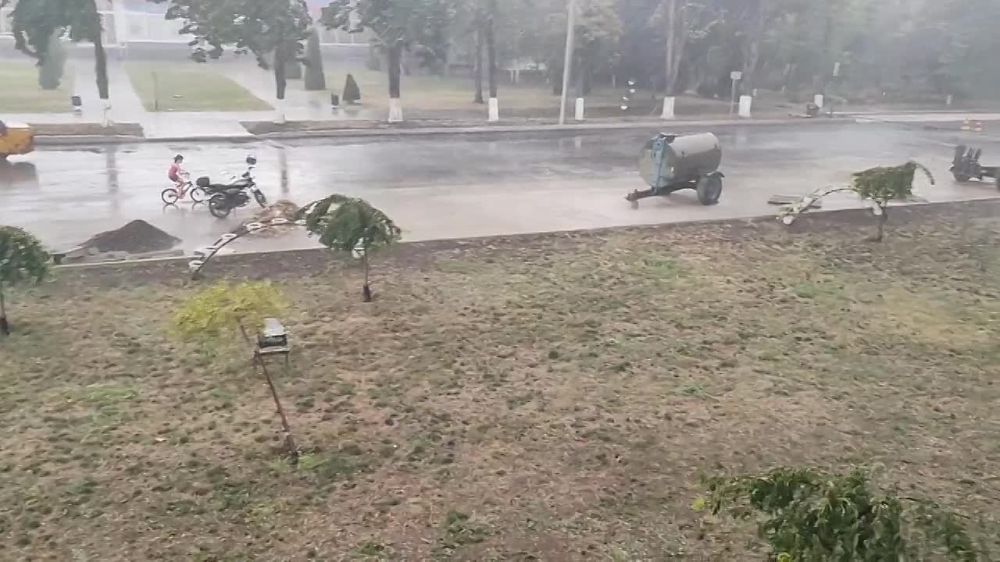 ������ ����� ����������� ��� ��������