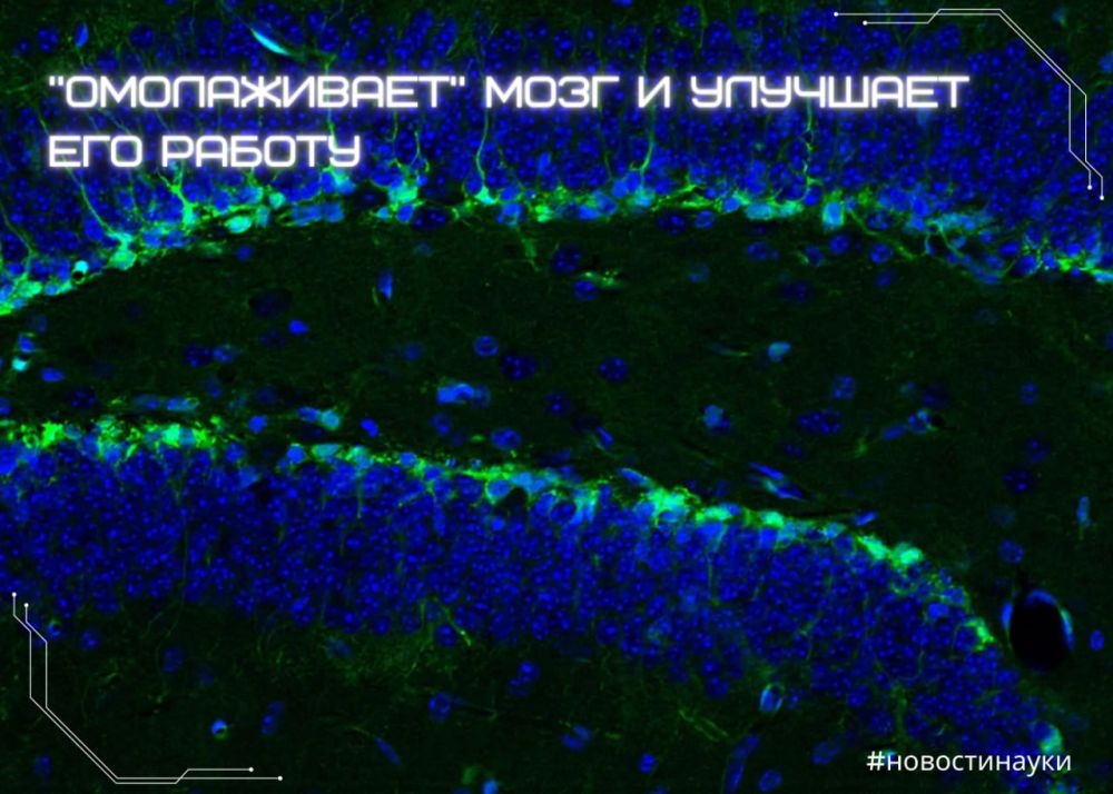 �����, ���������� ������������, ������������ ���� � �������� ��� ������