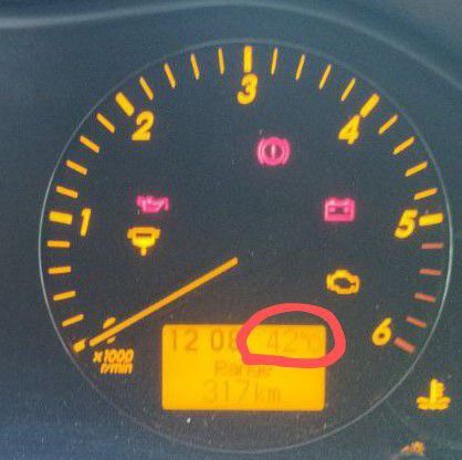 ����������� � +42��. ���������� ��������. � ��� ������ ��� � ���� ������ ����