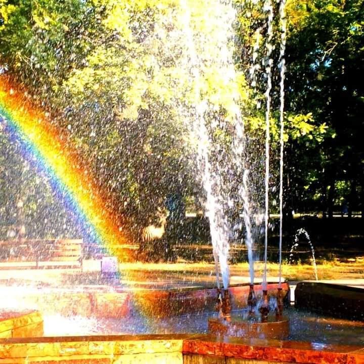 ��� ������� ���������.. ���� ������� ���������