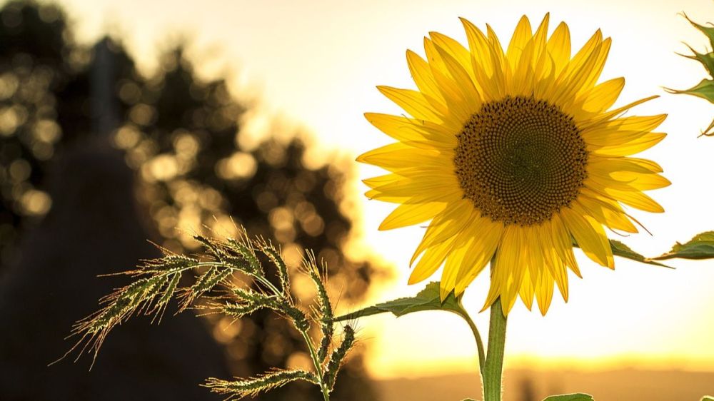 22 ������� ��������� ���������� ����������, ��� �������