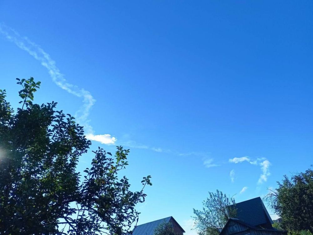 ������ ������������ ������ �������� � ���������� ������� � ����