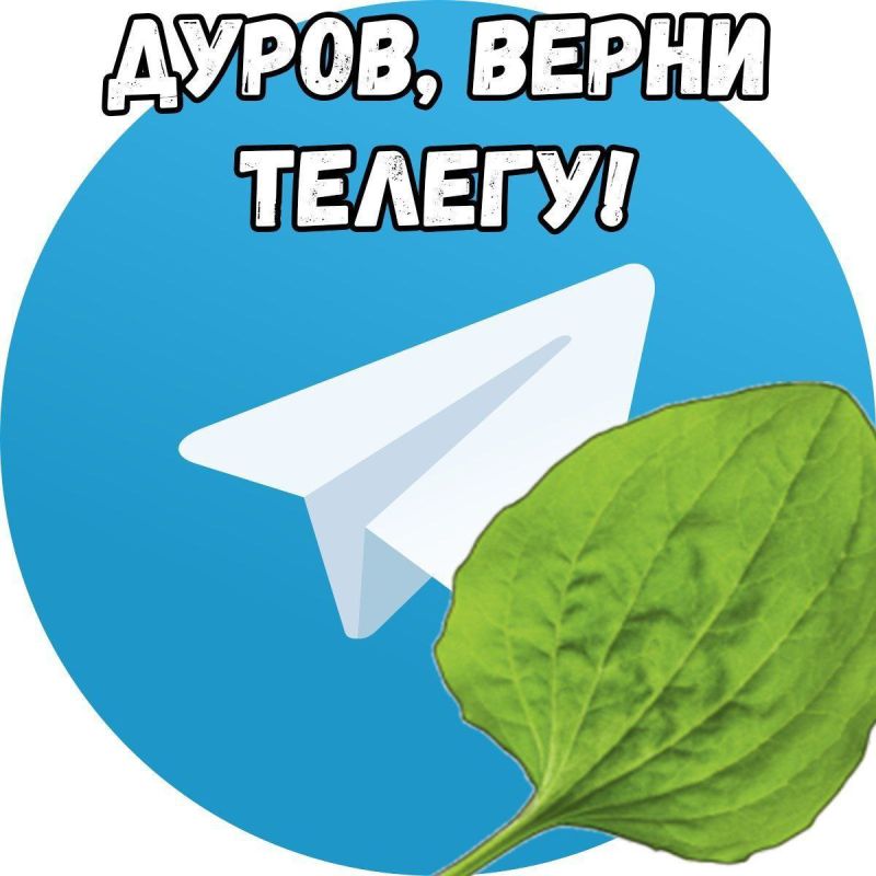 ������� ���� � ������ Telegram ������ ����� ���.