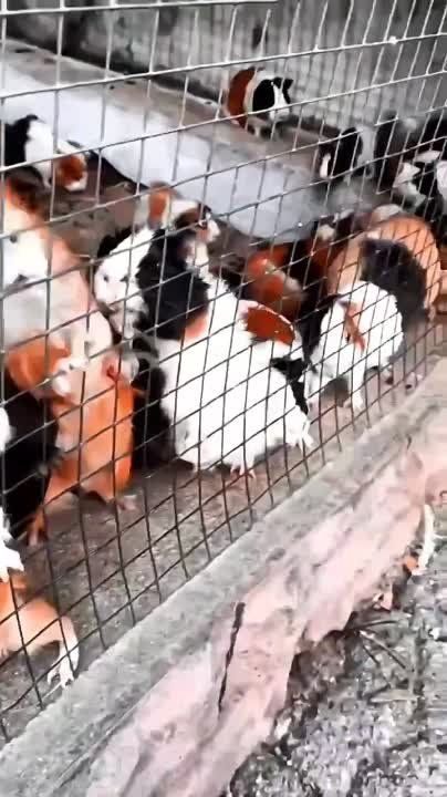 ������������ �������. ������ �� � ������!