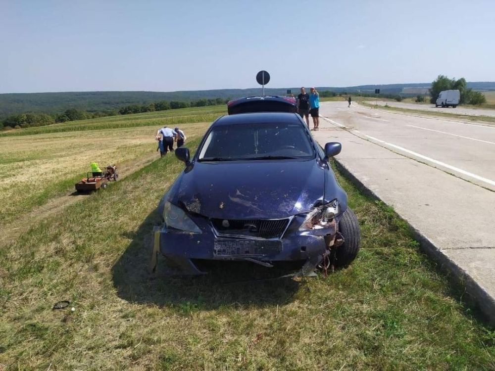 ������ - ������ �������: 29 ���� ����� �����