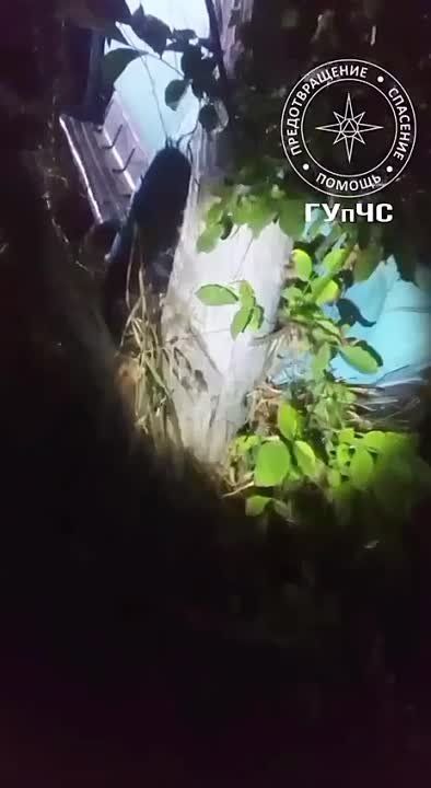 �������� ������ � ����� ���. �������� ���� �������� �� ����� � ������ �������������������� �����, �������� �� ��. �