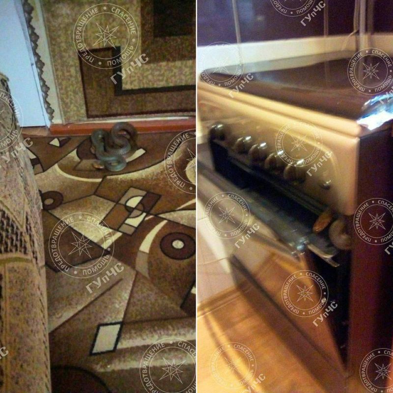 ���� �������� � ��� � ���������� � ������� �����