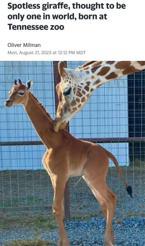 � �������� ������� ����� ��� �����, ������� ������ ����� ���� ������������ � ����