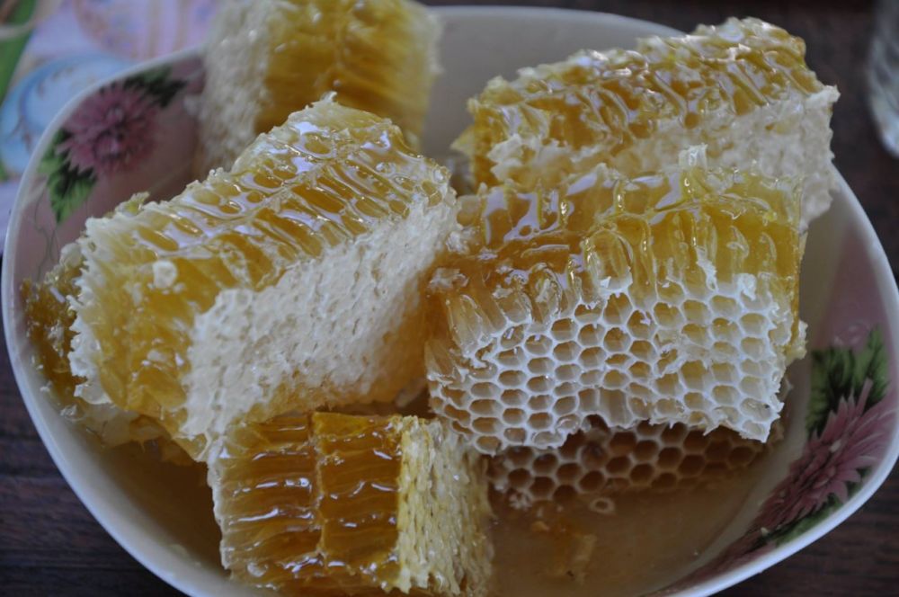 ������� ������. �������, 22 �������, ��������� ���������� ����������, ��� �������