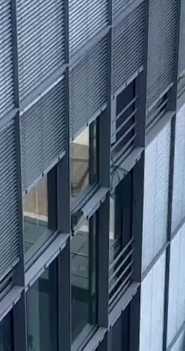 � �������� ������ ����� ��������� � ���� � ������� �������� ��������