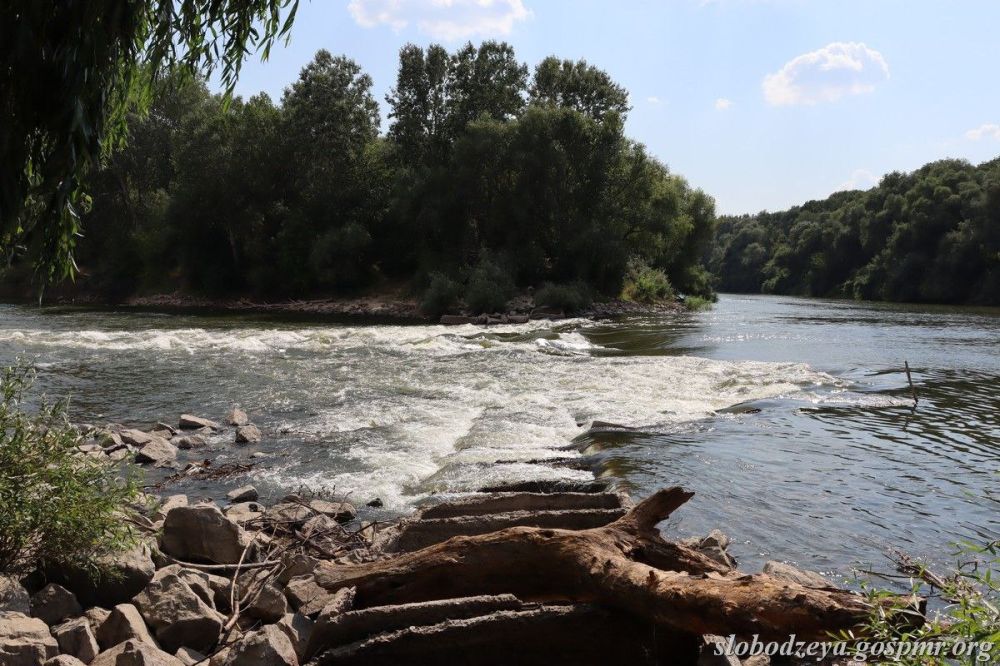 � �������� ��������� ��������� ��������