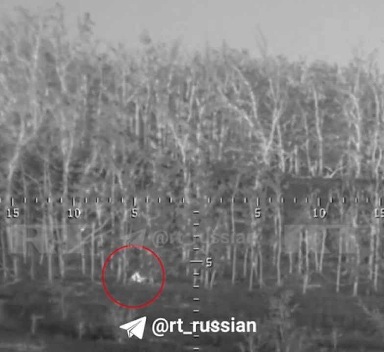 ���������� ������� ���� �������� � ���������� 1100 ������