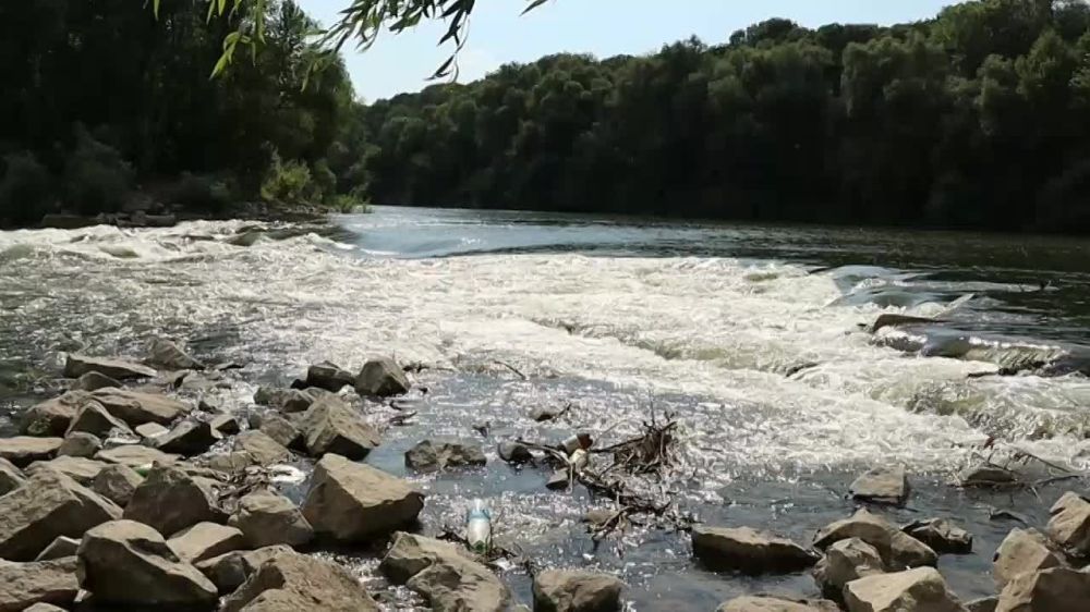 � �������� �������� ��������� �������� � ��������� ���� ��������