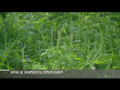 ����� �� ������ ��������, ��� � ��� ���������. �������� � ����� � ��������� � ������. ��� ���������� � ����������? � ������������ ������