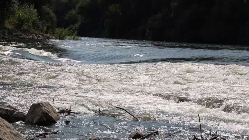 ��� ����� ��� ����� ��������� � ������ ������������ ��������