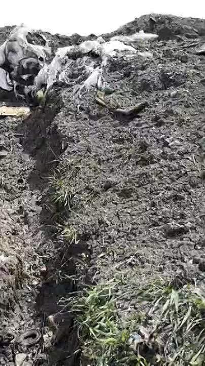 ��������� �� �������� ���.