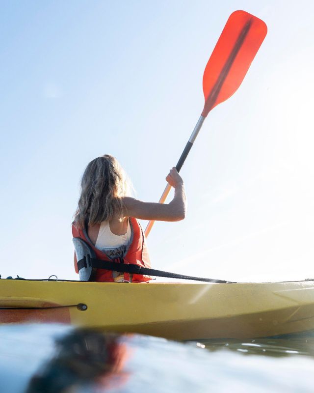 ��� �������� ��������� �������� ����� ����?