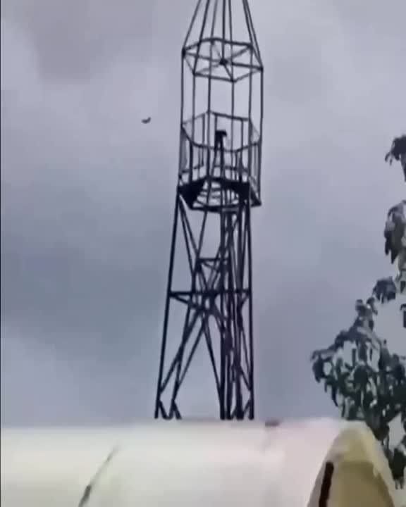 ����������, ��� ���� ����������. ������! �� ��������, ������!�: ������ ������� �������� � �������� �������