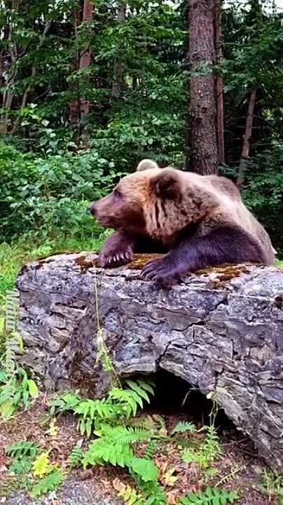 � ������� ����� ����� � �����, ����� ������������ �� ������