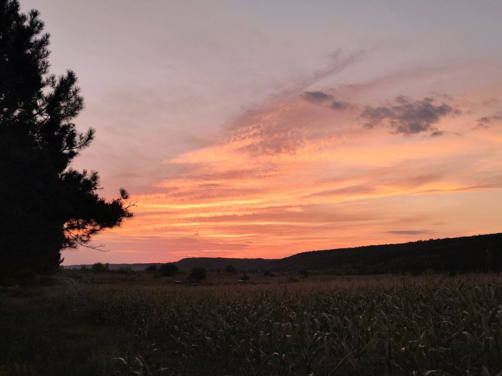 ��������� ����� ��������� ����