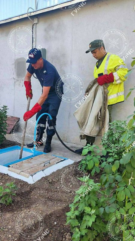 ��������� �������� �����. � ��������-������������ ������������� �. ��������� �������� ������ � �������� �������� �������