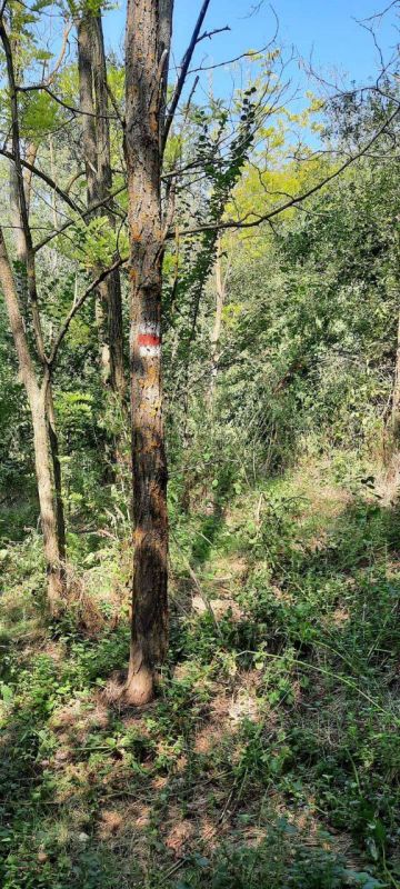 ���������� �� ������ ����. � ����������� "�������" ���������� ��������� ��� ������� �������, �������� ��� ������