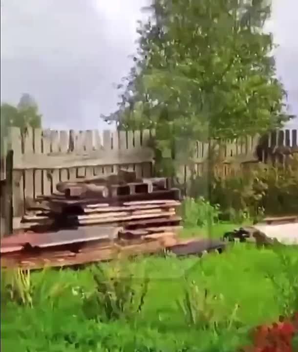 ������� ������ �������� �������� � ���� ��� �������� ��������