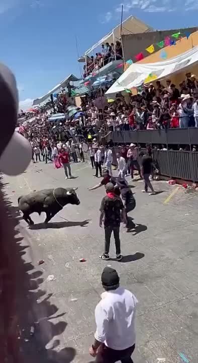 � ������� ����������� ��� �������� � ������ �������.