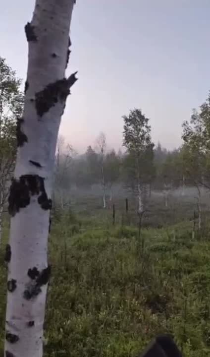 � ����������� ���� ����� ����� �� ������� � ��� � �������� ��� �����