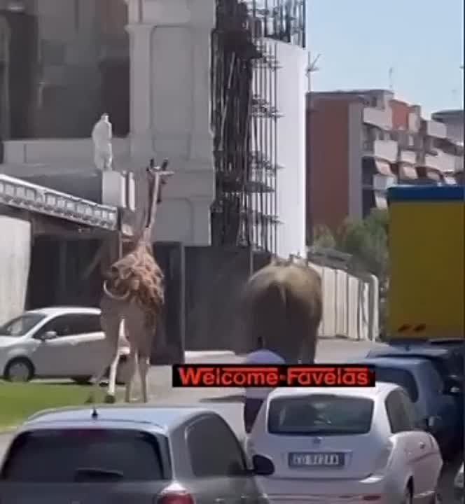 �������� ����������. ���� � ����� ������� �� ��������� �������� � ����